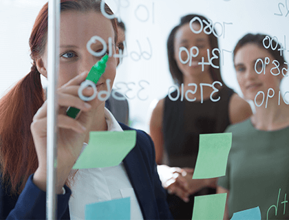 Conduct Audit